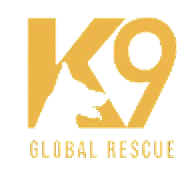 K9_Logo-removebg-preview