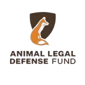 Logo-removebg-preview (1)