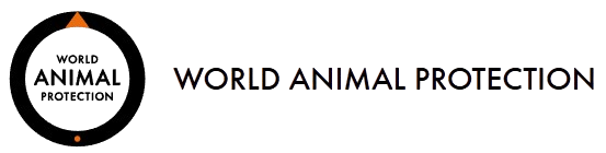 Logo-removebg-preview