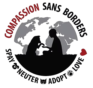 csbLogo.png-removebg-preview