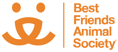 bfas_logo_footer